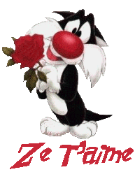 ZE TèMMMMMMMMM      BB